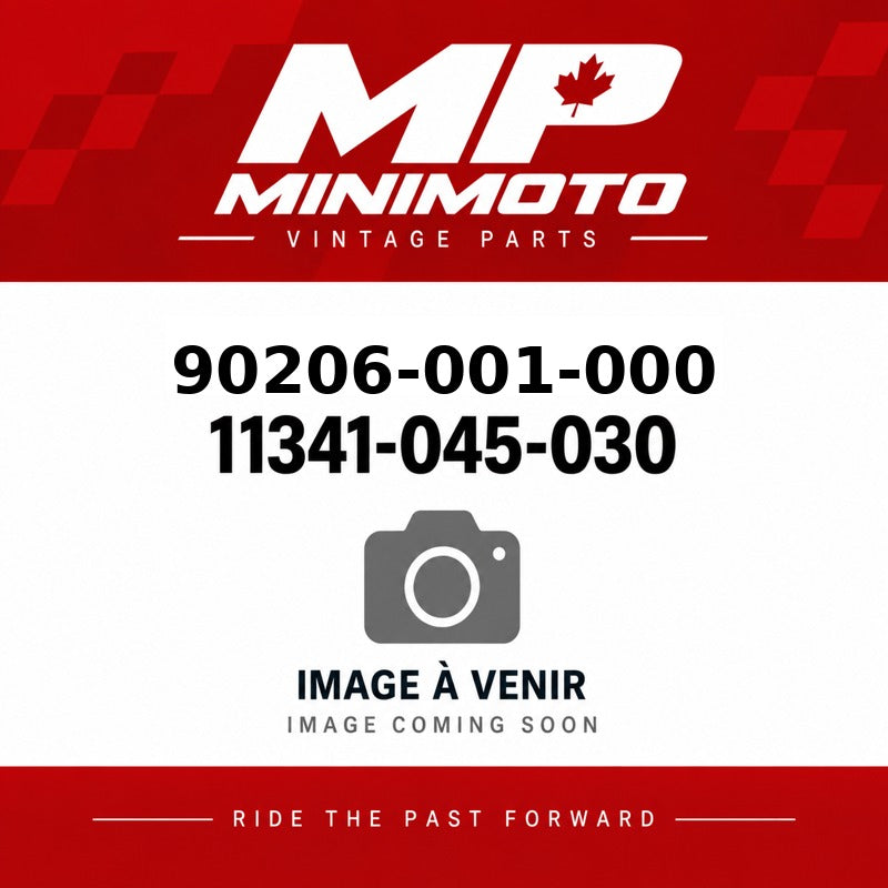 MP MiniMoto OEM 90206-001-000