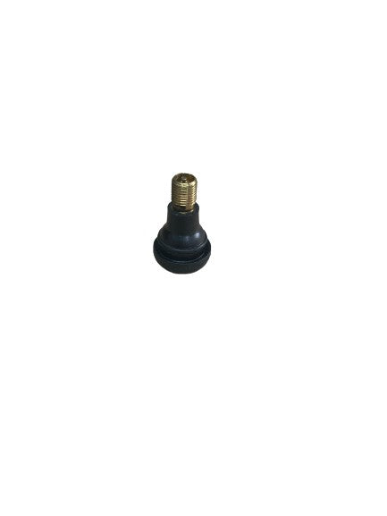 VALVE — 10509