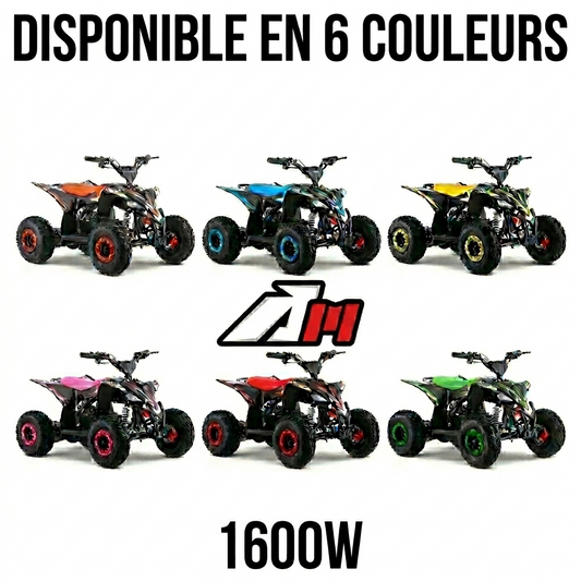 Quad Électrique - Apollo HIRO COBRA 1600W