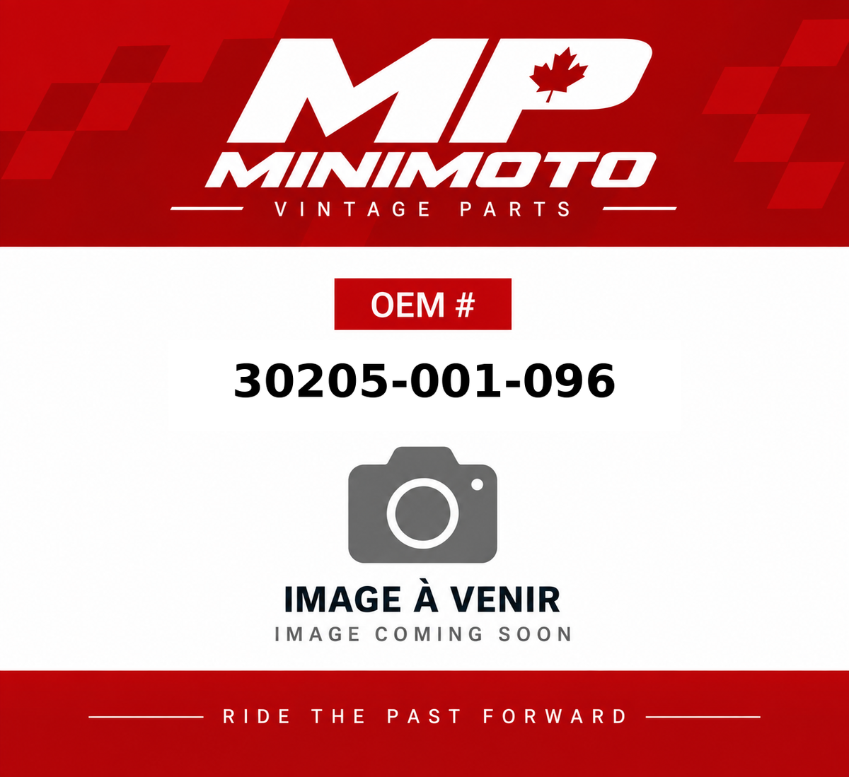 MP MiniMoto OEM 30205-001-096