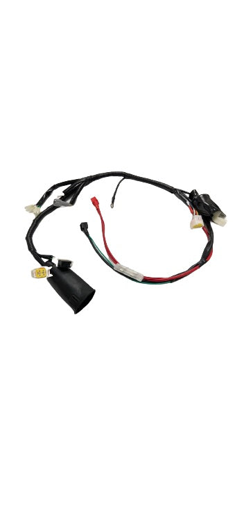 Pièce Apollo 401-007 — WIRING HARNESS
