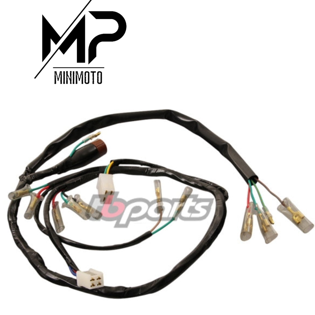 Arnés para CT70 K0 y CT70H HK0