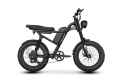 Riding Times Z8 — photo du fabricant